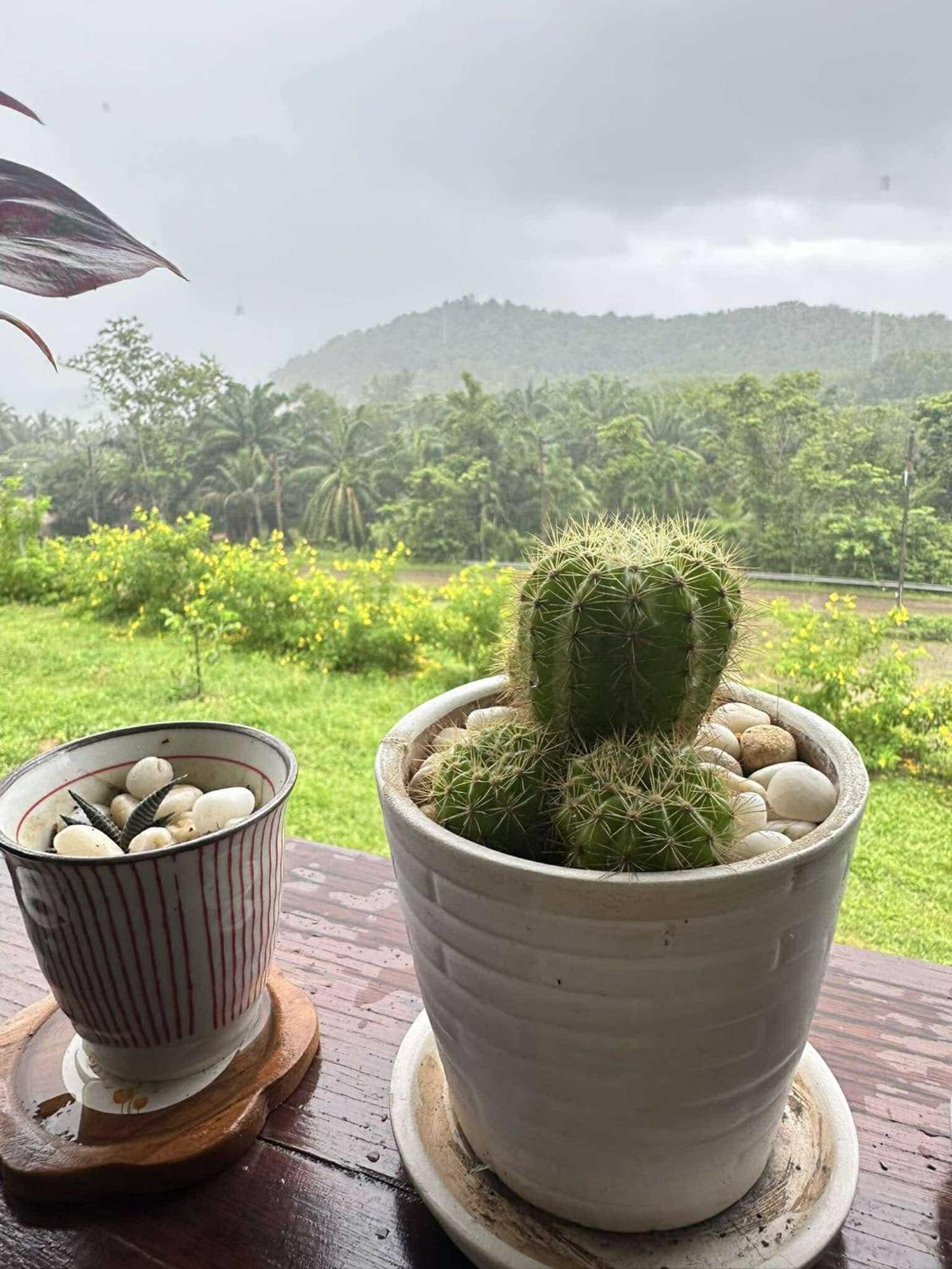 บ้านสวนปิยนันท์ Đảo Koh Yao Noi Ngoại thất bức ảnh